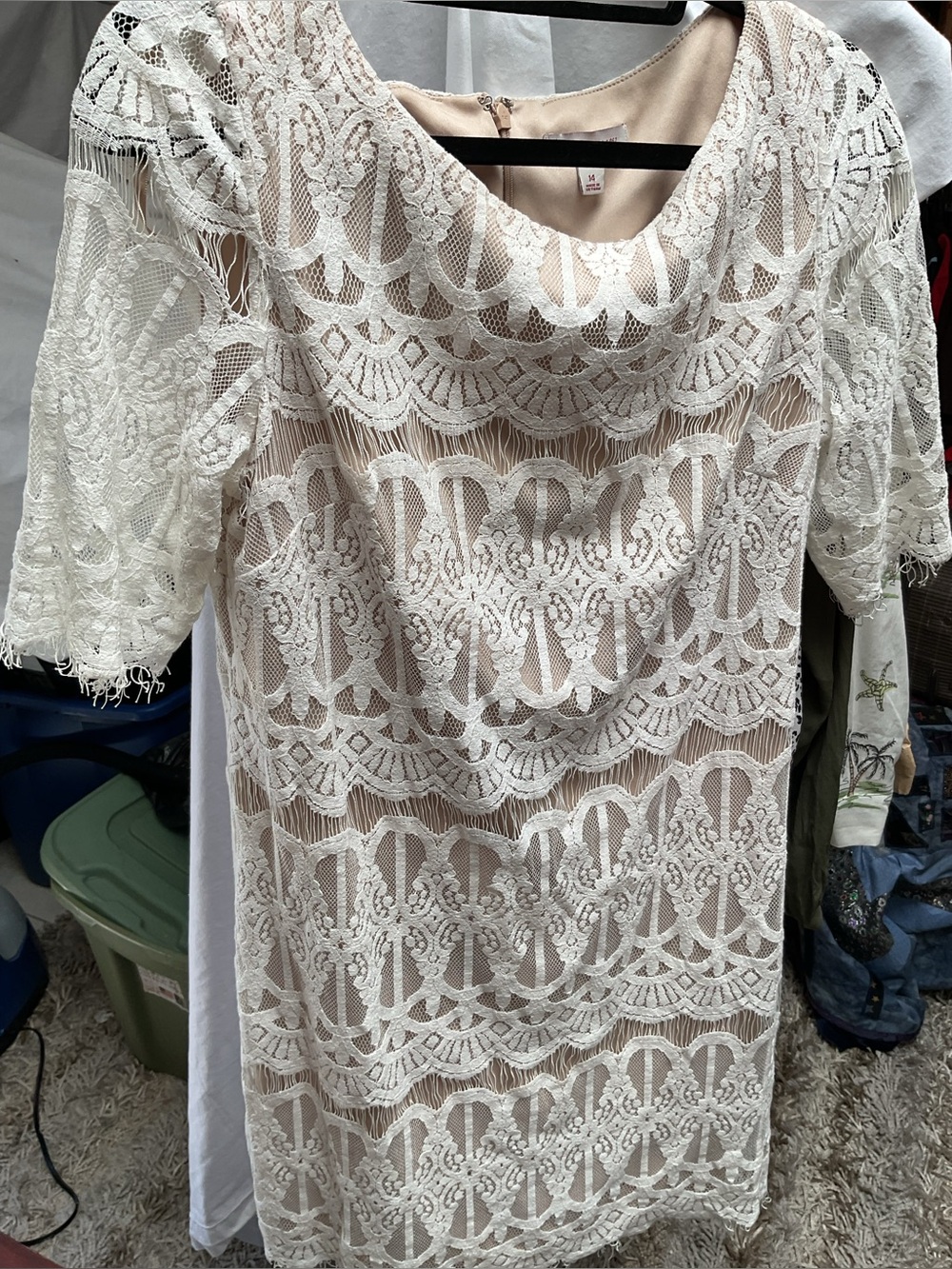 Established Ivory Lace Overlay Sheath Dress